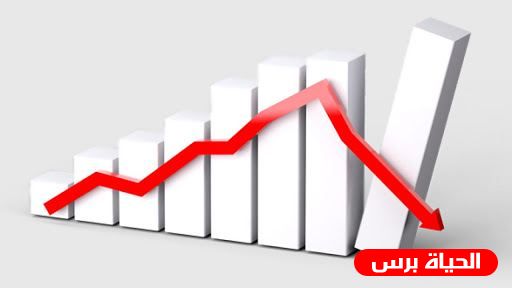 Increase in Palestine's exports by 11 percent in October, says PCBS